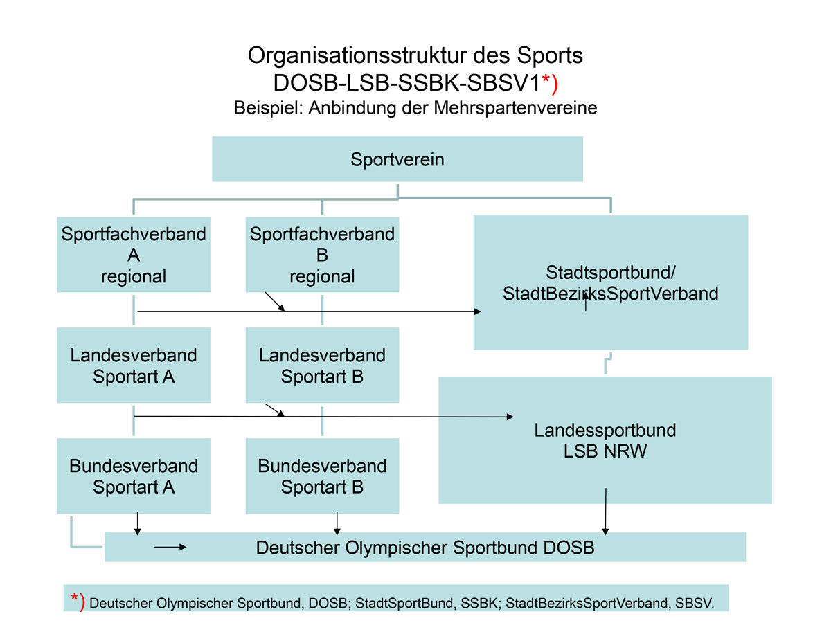 Organisationsstruktur des Sports